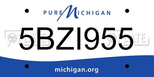 5BZI955 Michigan License Plate