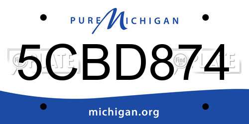 5CBD874 Michigan License Plate