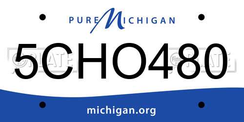 5CHO480 Michigan License Plate