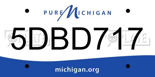 5DBD717 Michigan License Plate