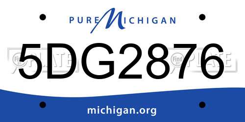 5DG2876 Michigan License Plate
