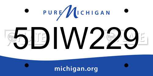 5DIW229 Michigan License Plate