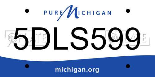 5DLS599 Michigan License Plate