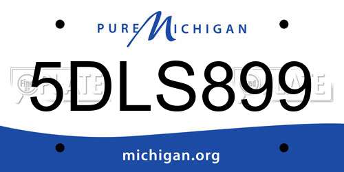 5DLS899 Michigan License Plate