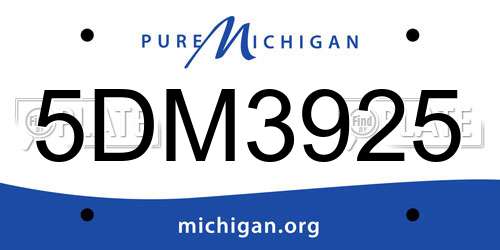 5DM3925 Michigan License Plate