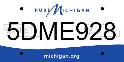 5DME928 Michigan License Plate
