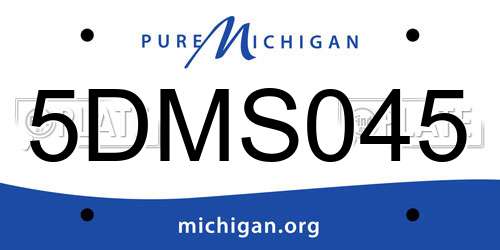 5DMS045 Michigan License Plate