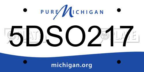 5DSO217 Michigan License Plate