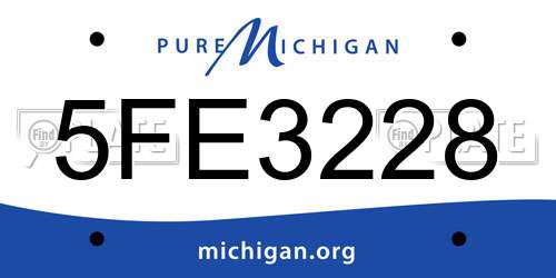 5FE3228 Michigan License Plate