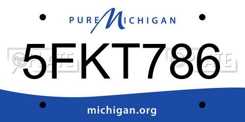 5FKT786 Michigan License Plate