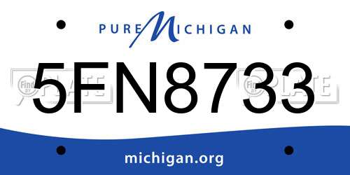 5FN8733 Michigan License Plate