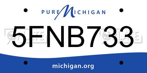 5FNB733 Michigan License Plate