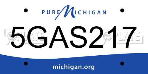 5GAS217 Michigan License Plate