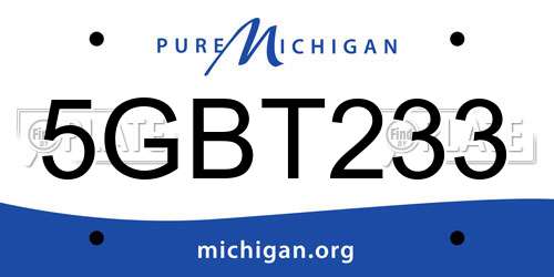 5GBT233 Michigan License Plate