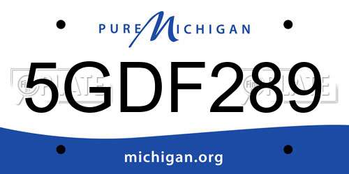 5GDF289 Michigan License Plate