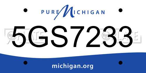 5GS7233 Michigan License Plate
