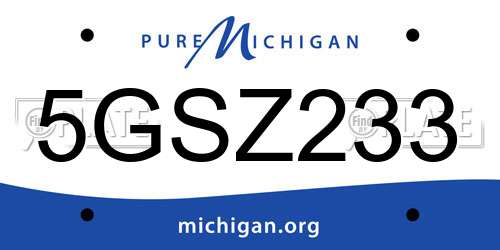 5GSZ233 Michigan License Plate