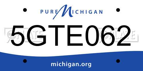 5GTE062 Michigan License Plate