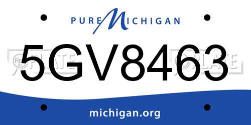 5GV8463 Michigan License Plate
