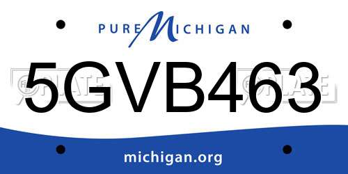 5GVB463 Michigan License Plate