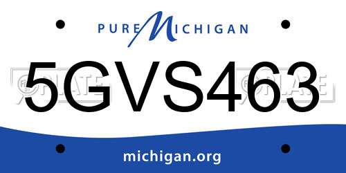 5GVS463 Michigan License Plate