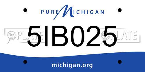 5IB025 Michigan License Plate
