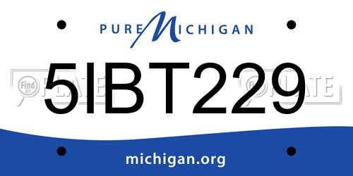 5IBT229 Michigan License Plate