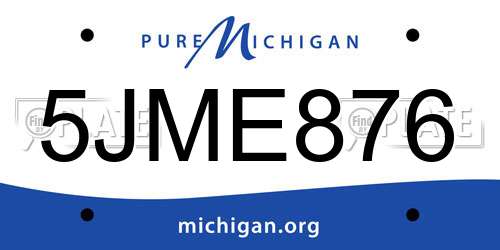 5JME876 Michigan License Plate
