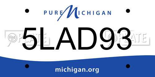 5LAD93 Michigan License Plate
