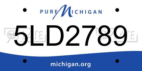 5LD2789 Michigan License Plate
