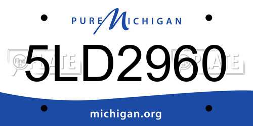 5LD2960 Michigan License Plate