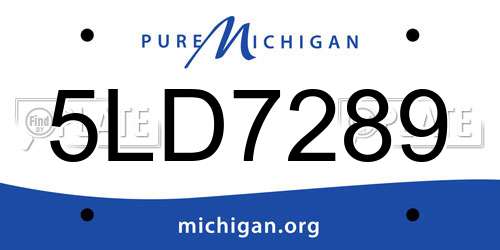 5LD7289 Michigan License Plate