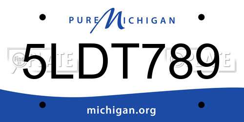 5LDT789 Michigan License Plate