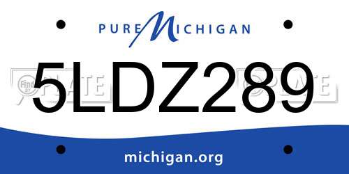 5LDZ289 Michigan License Plate
