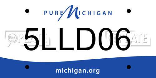 5LLD06 Michigan License Plate