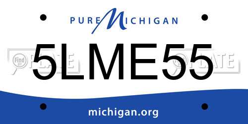 5LME55 Michigan License Plate