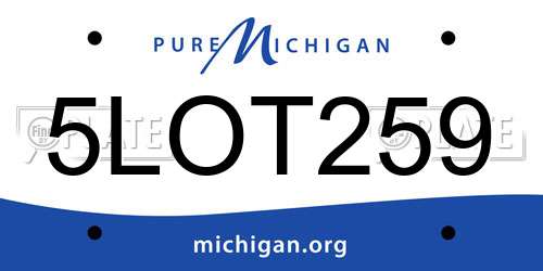 5LOT259 Michigan License Plate