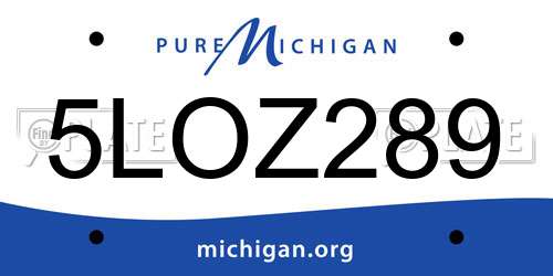 5LOZ289 Michigan License Plate