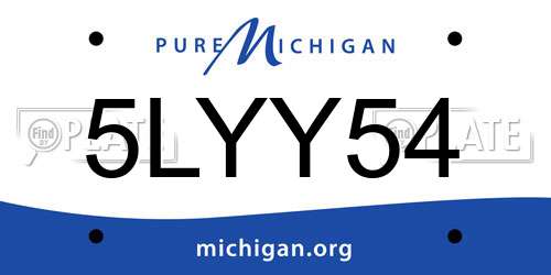 5LYY54 Michigan License Plate