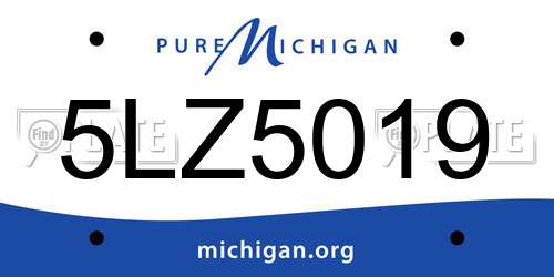 5LZ5019 Michigan License Plate