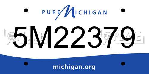 5M22379 Michigan License Plate