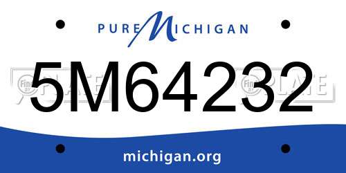 5M64232 Michigan License Plate