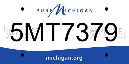 5MT7379 Michigan License Plate