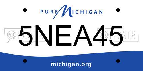 5NEA45 Michigan License Plate