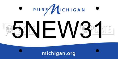 5NEW31 Michigan License Plate
