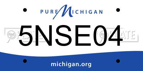 5NSE04 Michigan License Plate