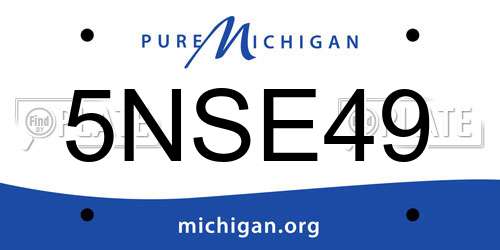 5NSE49 Michigan License Plate