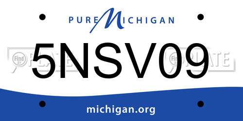 5NSV09 Michigan License Plate