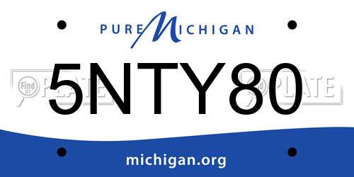 5NTY80 Michigan License Plate