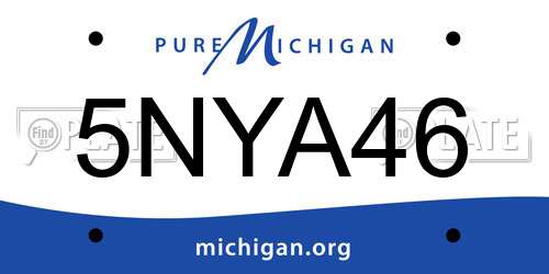 5NYA46 Michigan License Plate